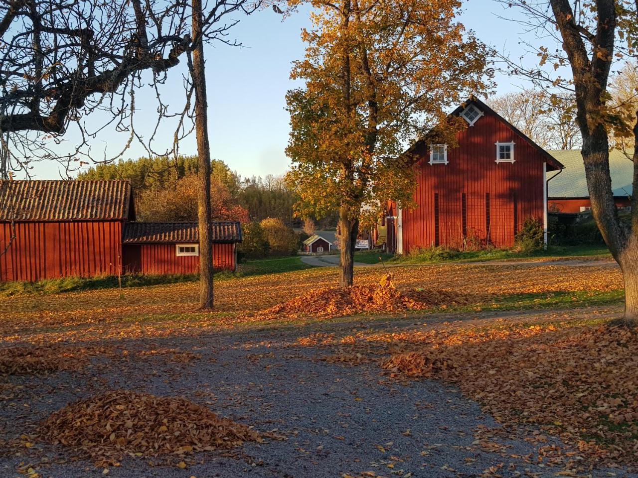 Affittacamere Skoelvs Gard Glanshammar Esterno foto