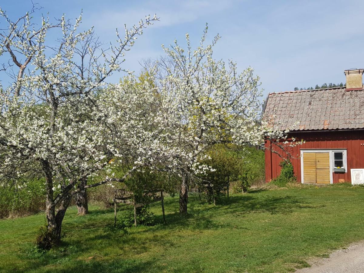 Affittacamere Skoelvs Gard Glanshammar Esterno foto
